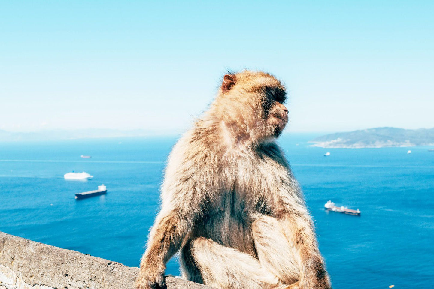Gibraltar