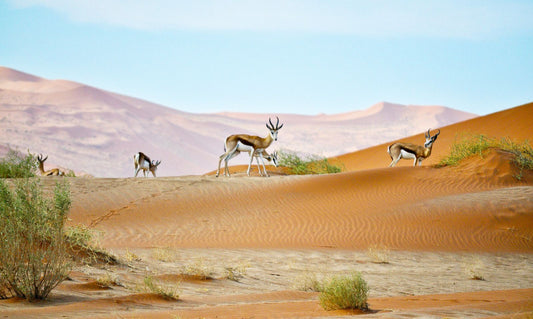 Namibia