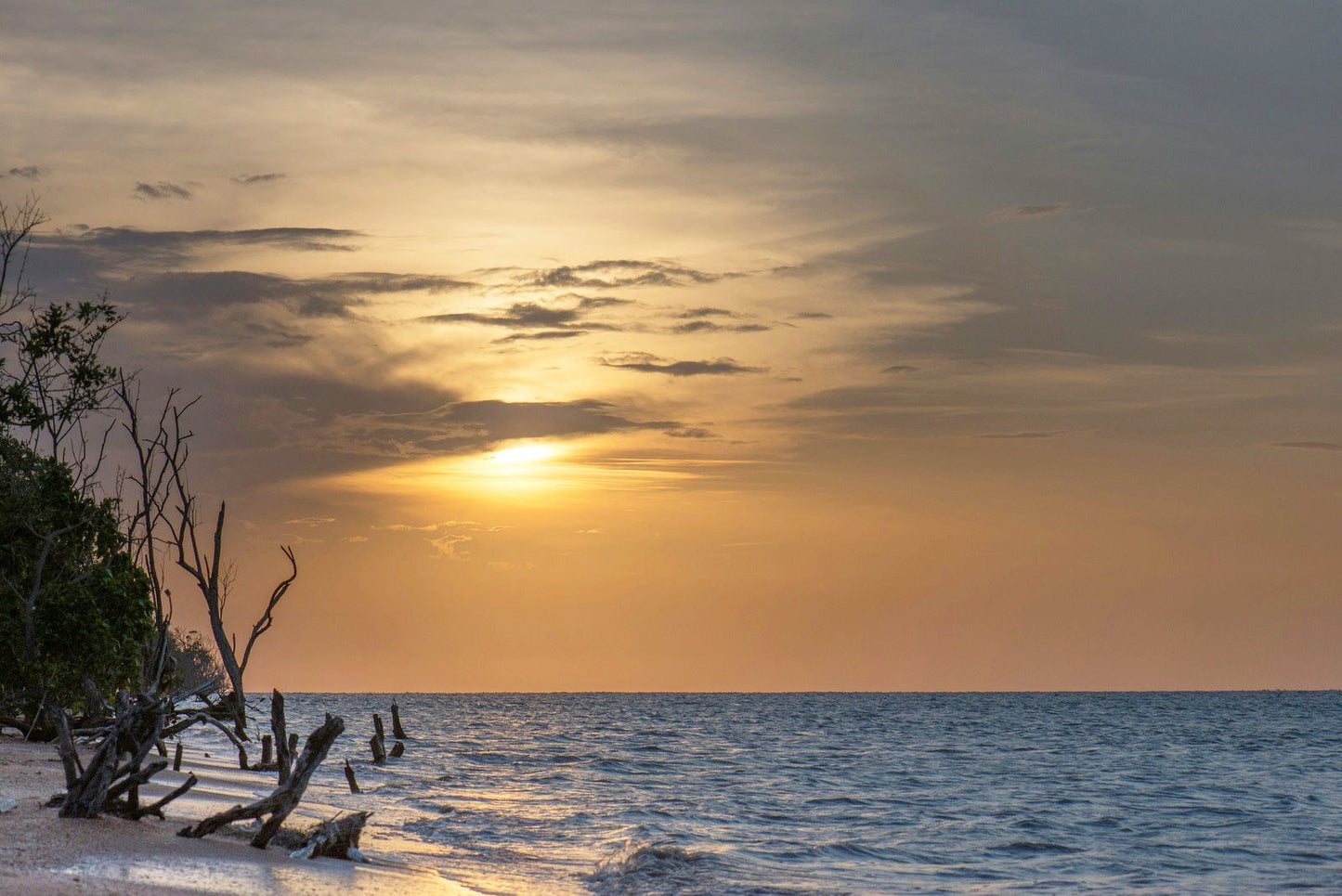 Suriname