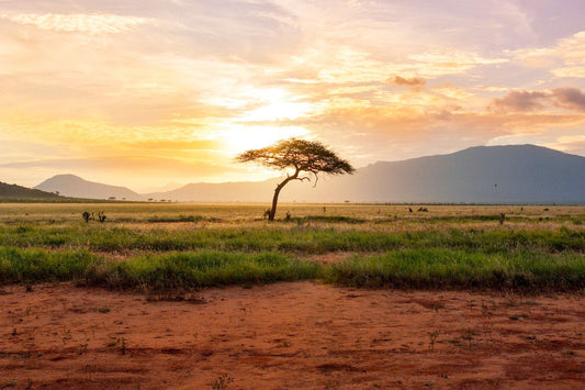 Afrika