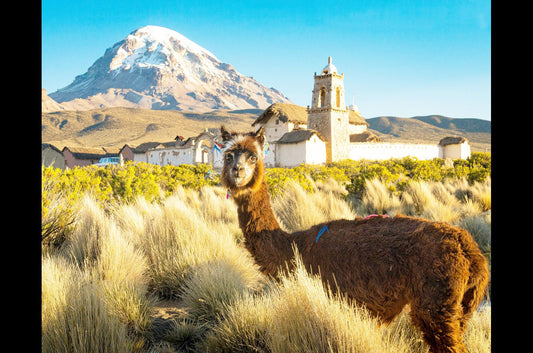 Bolivien