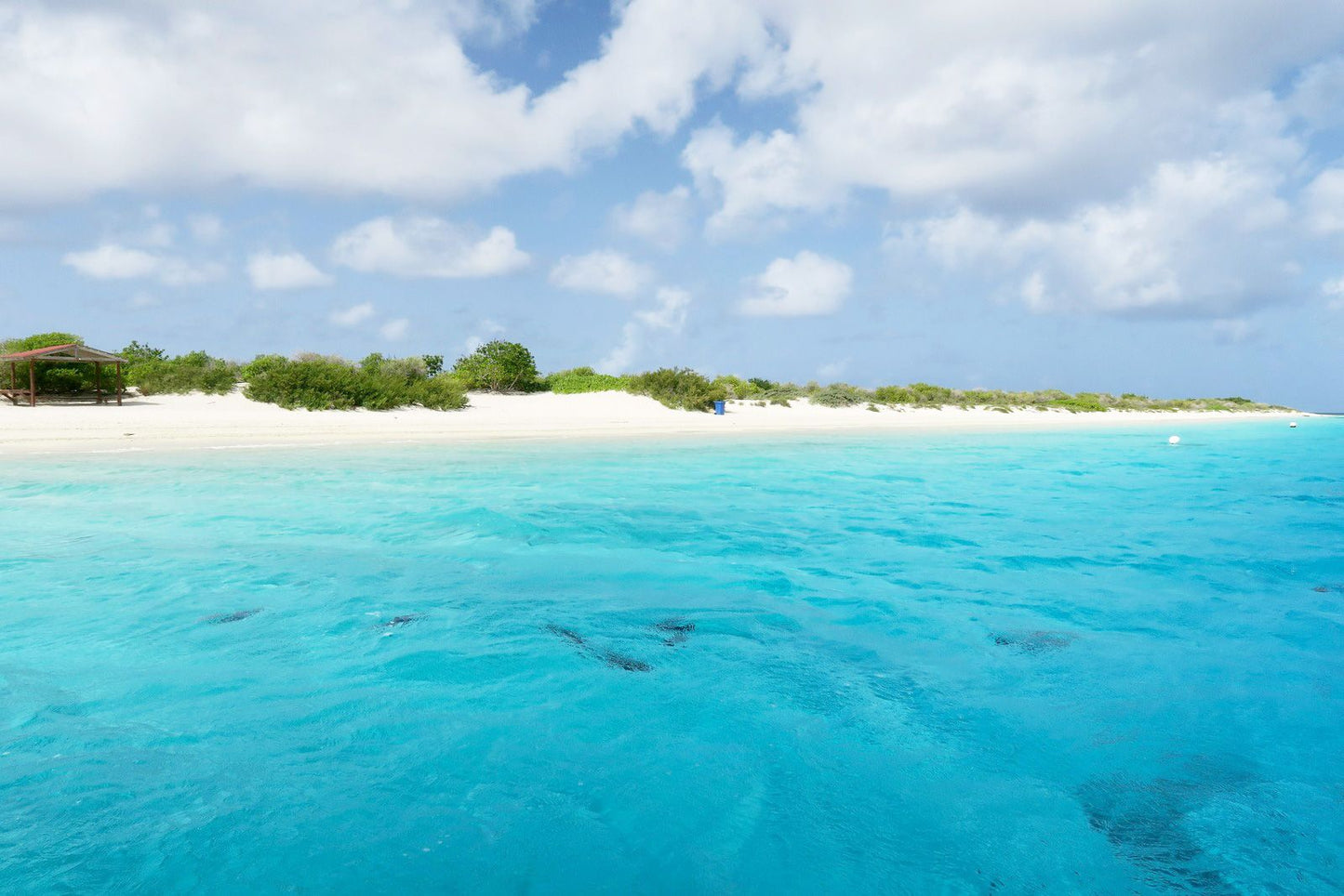 Bonaire, saint Eustatius and Saba