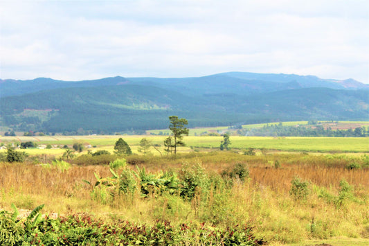 Swasiland