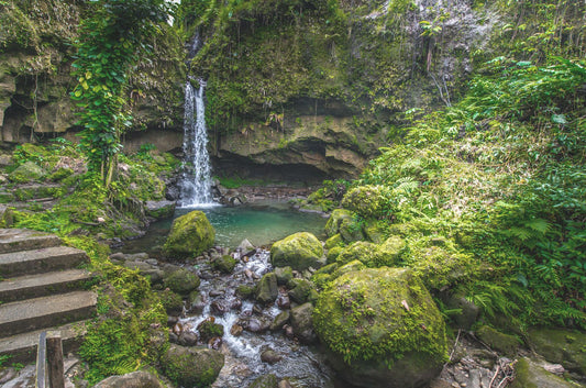 Dominica